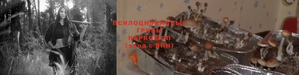 2c-b Алексеевка