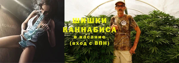 сатива Абаза
