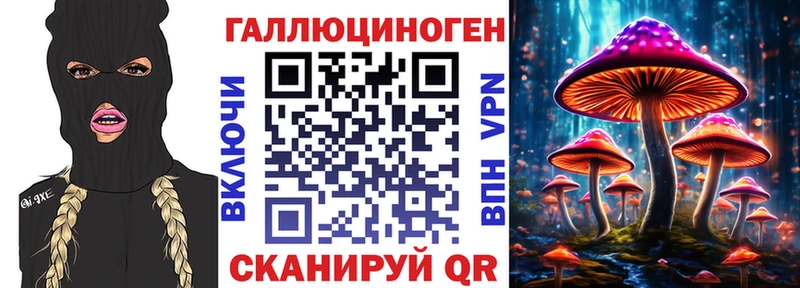 kraken зеркало  Вилючинск  Псилоцибиновые грибы Magic Shrooms  наркотики 